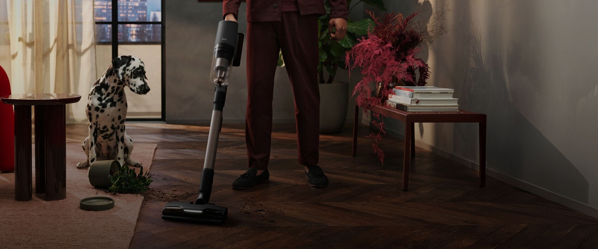 En AEG ledningsfri støvsuger bruges til at støvsuge jord op fra en plante, der er væltet i et hjem. Der er en hund i baggrunden.